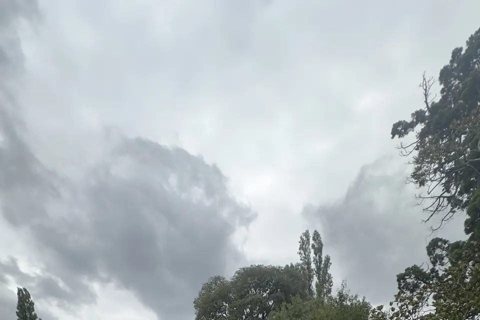 Domaine d'Oly — photo 6