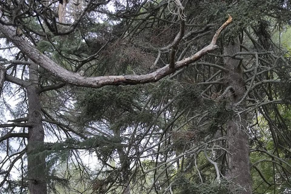 Domaine d'Oly — photo 7