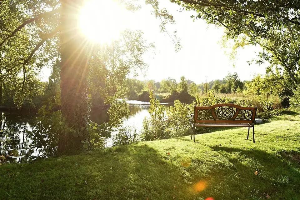 Ilot du Moulin — photo 5