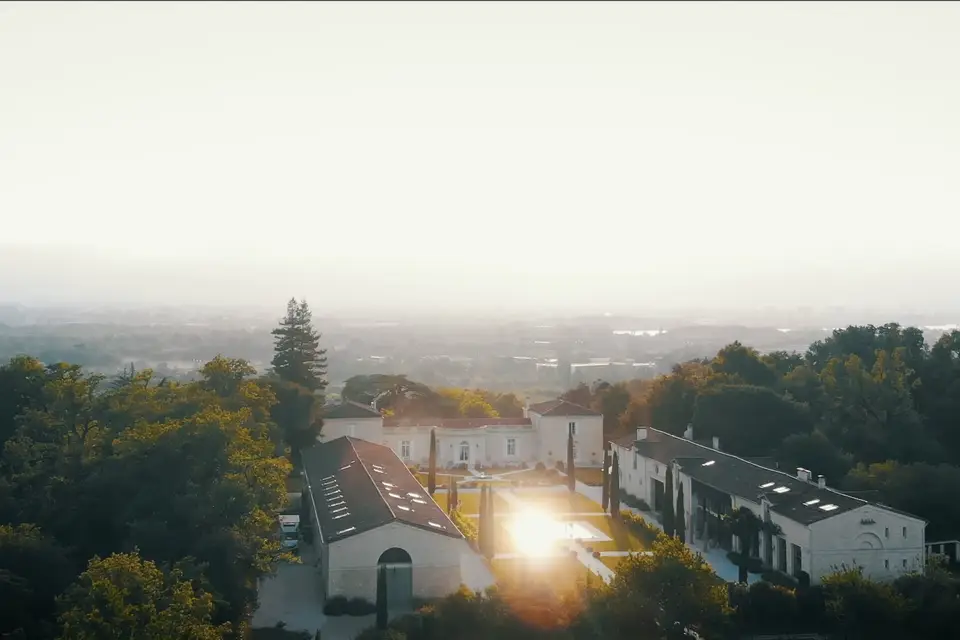 Birds Prod — photo 8