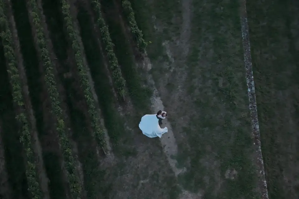 Birds Prod — photo 3