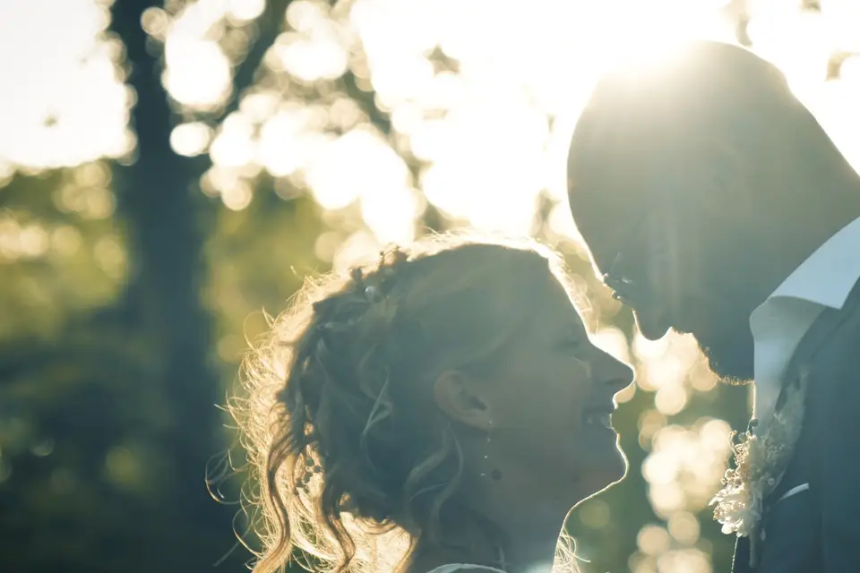 Birds Prod — photo 6