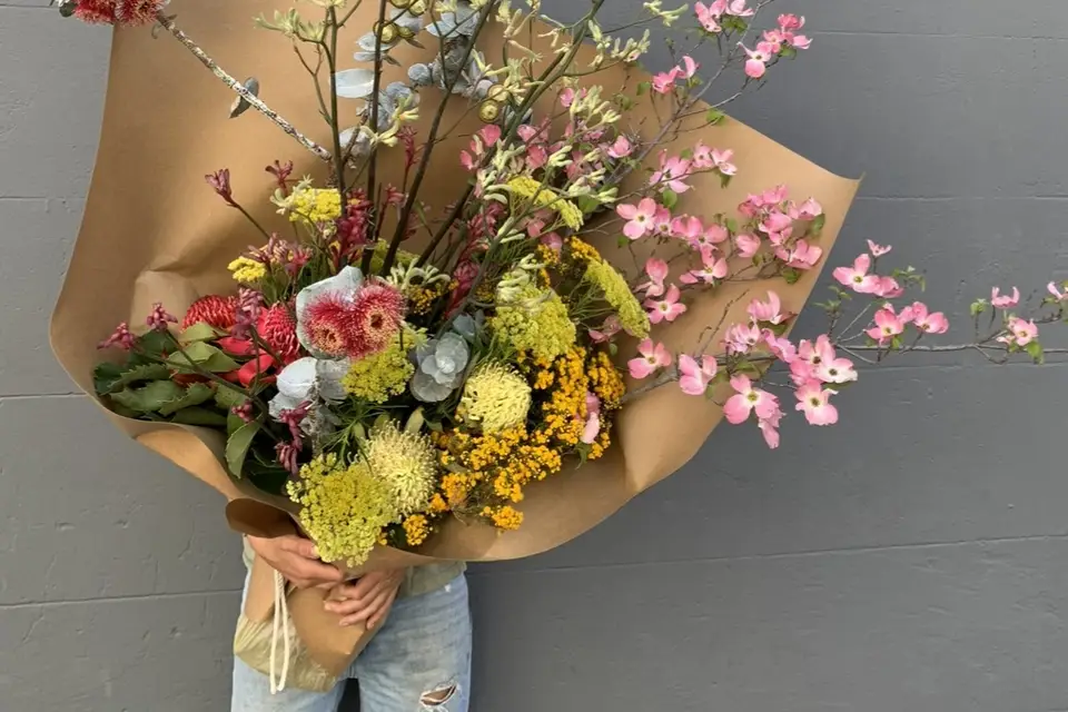 Vegetaletcreation — photo 1