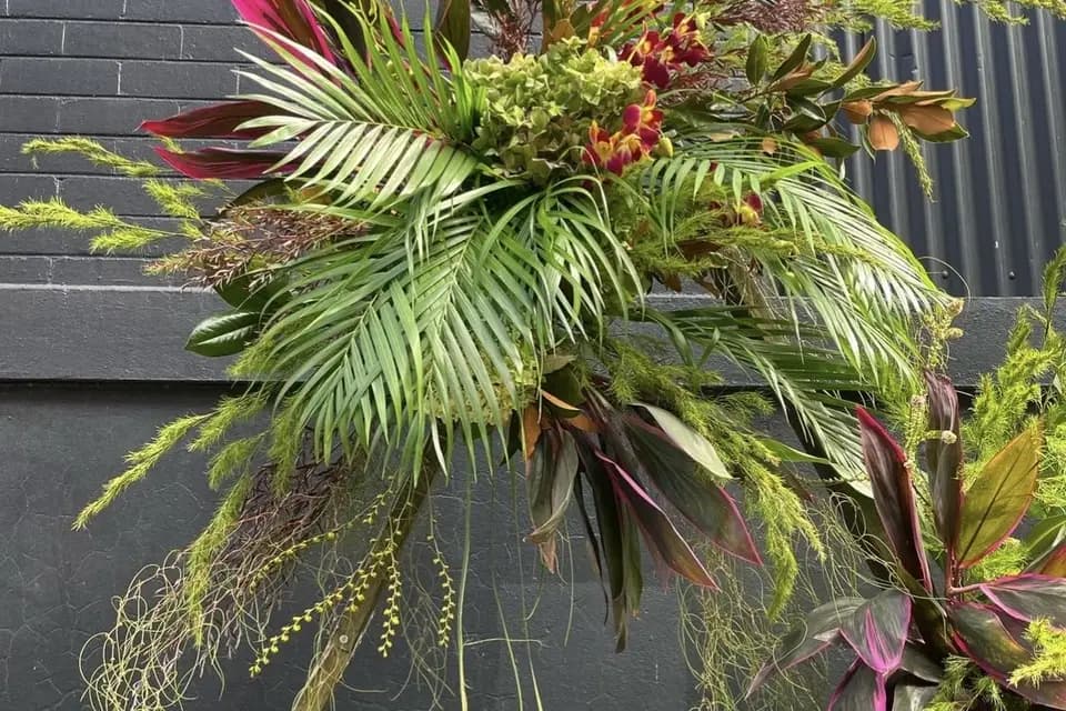 Vegetaletcreation — photo 8