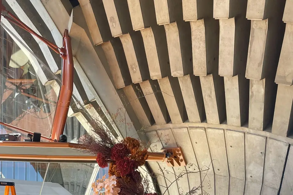 Vegetaletcreation — photo 5