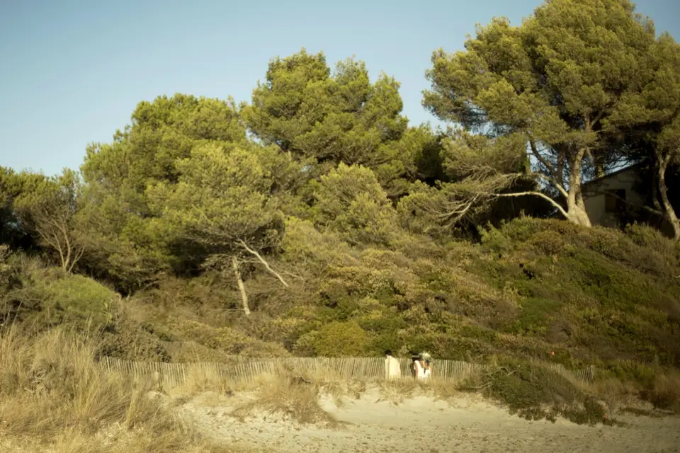 Les Petites Vidéos — photo 3