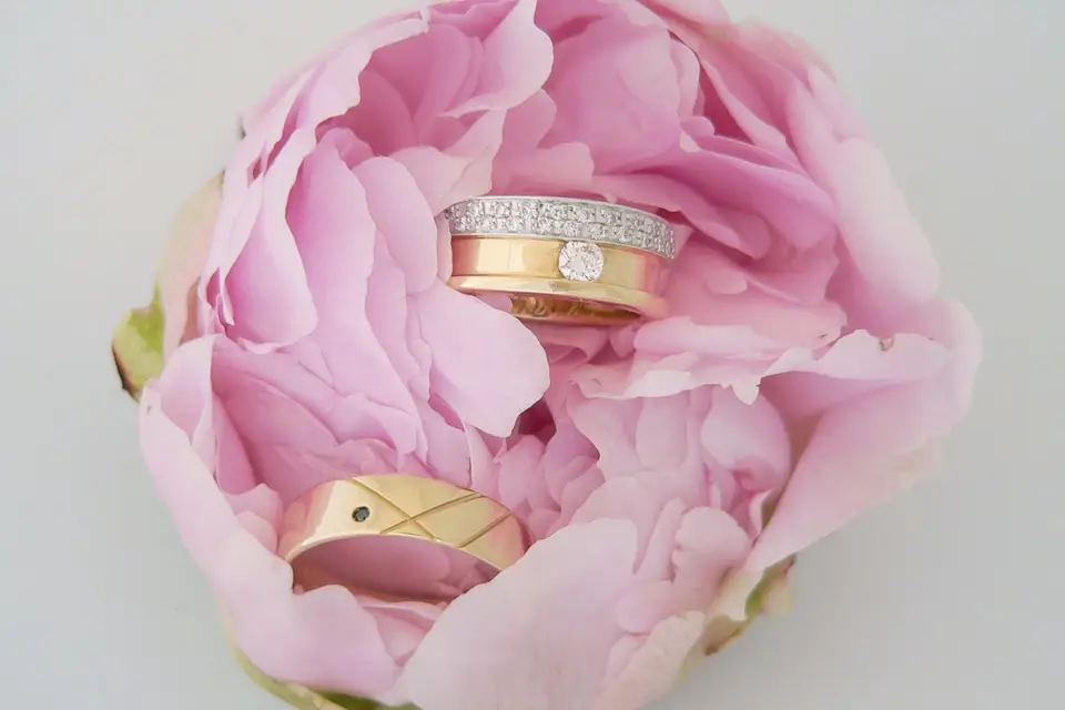 Alliances Denis Murienne — photo 4