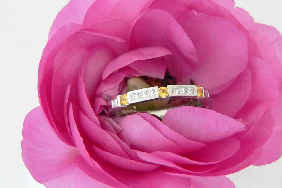 Alliances Denis Murienne — photo 2