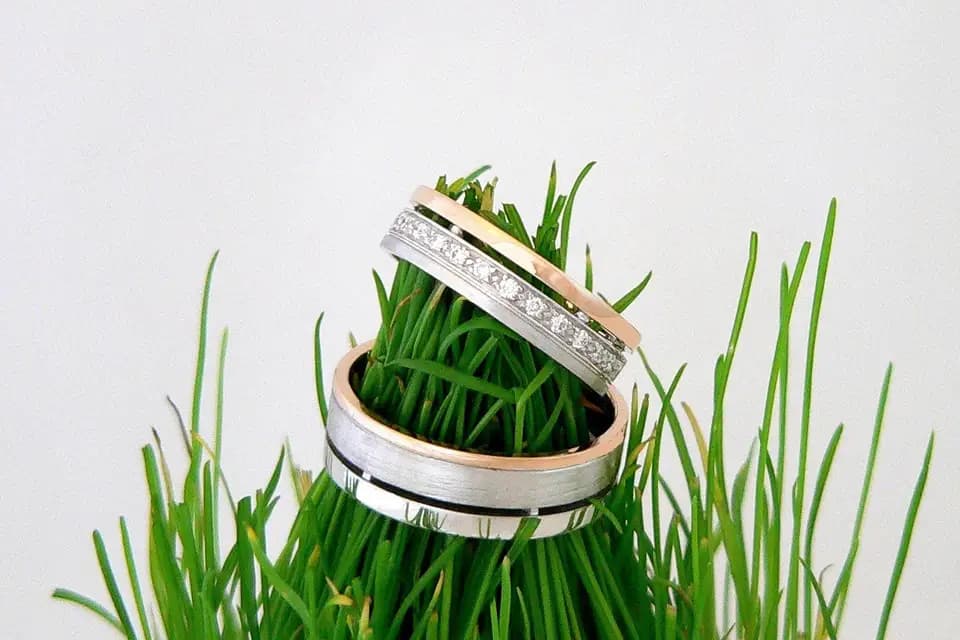 Alliances Denis Murienne — photo 1