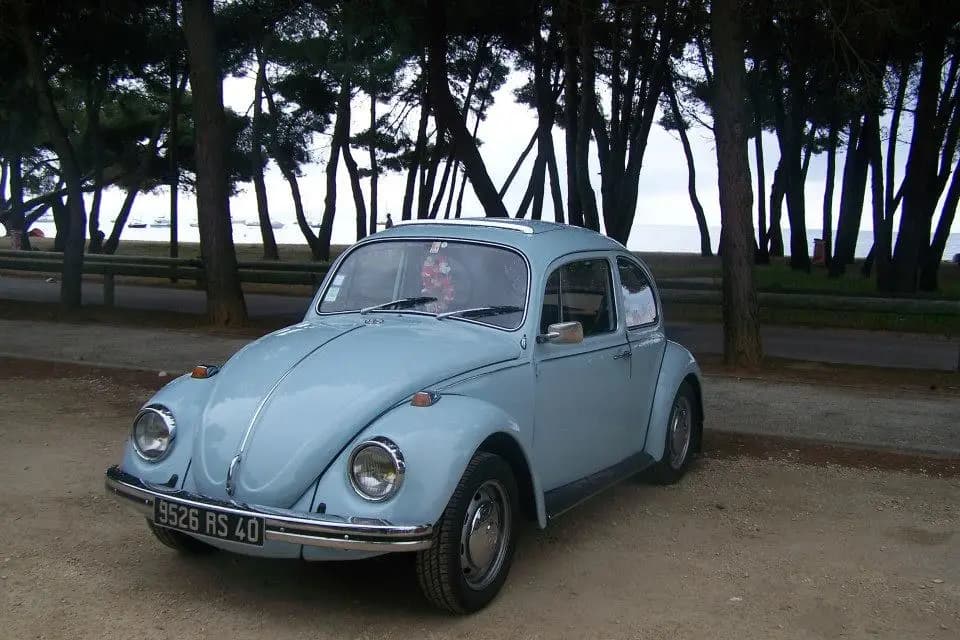 K-rine Nature — photo 1