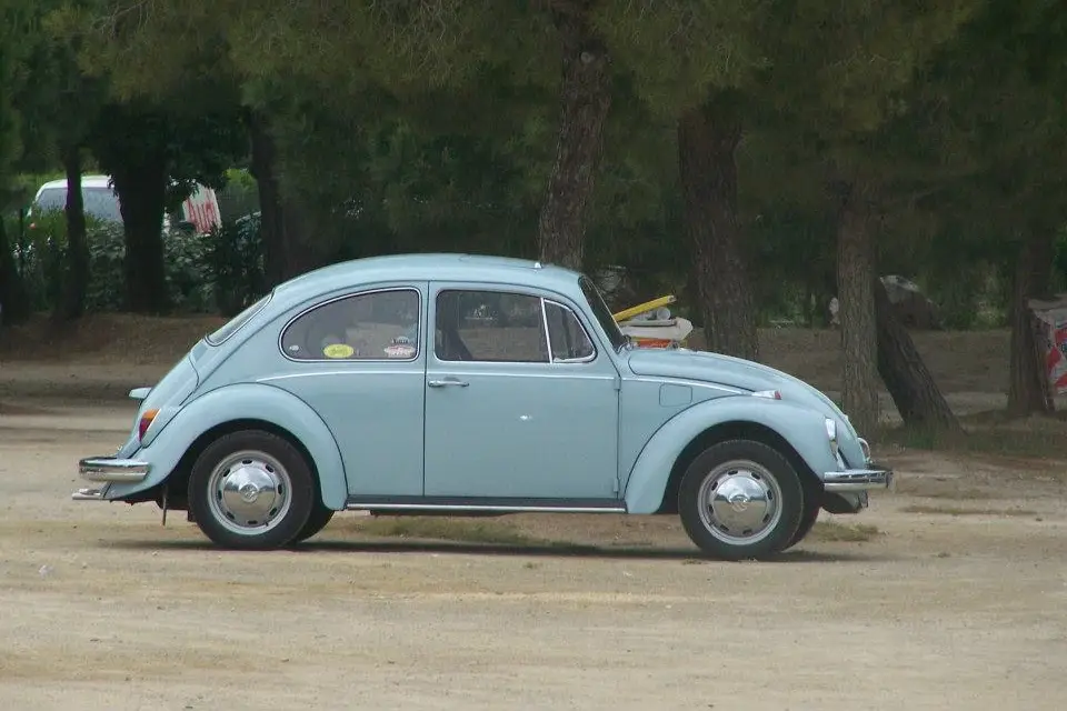 K-rine Nature — photo 2