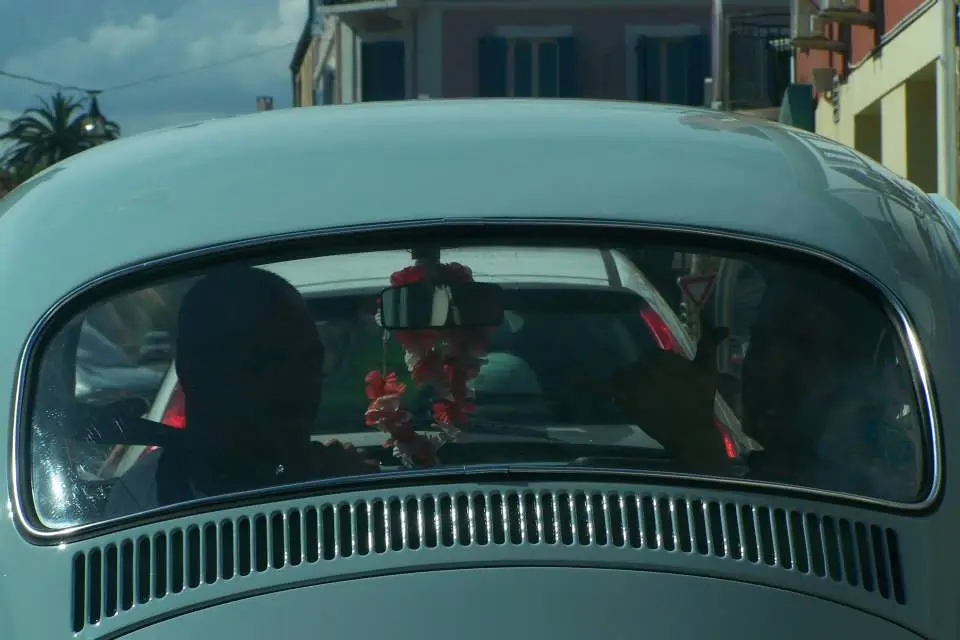 K-rine Nature — photo 6