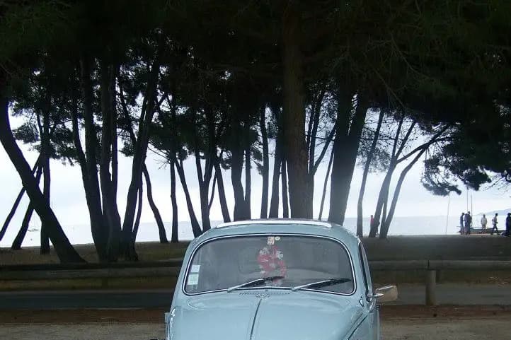 K-rine Nature — photo 3