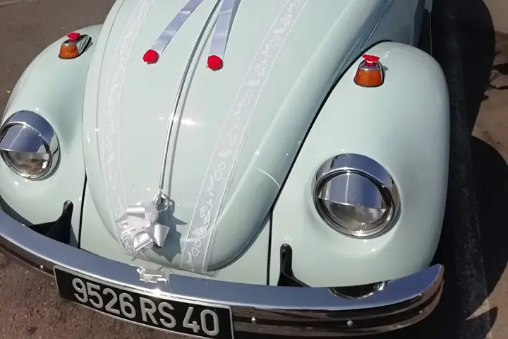 K-rine Nature — photo 4