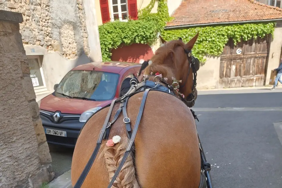 Rêve d'Équilibre — photo 5