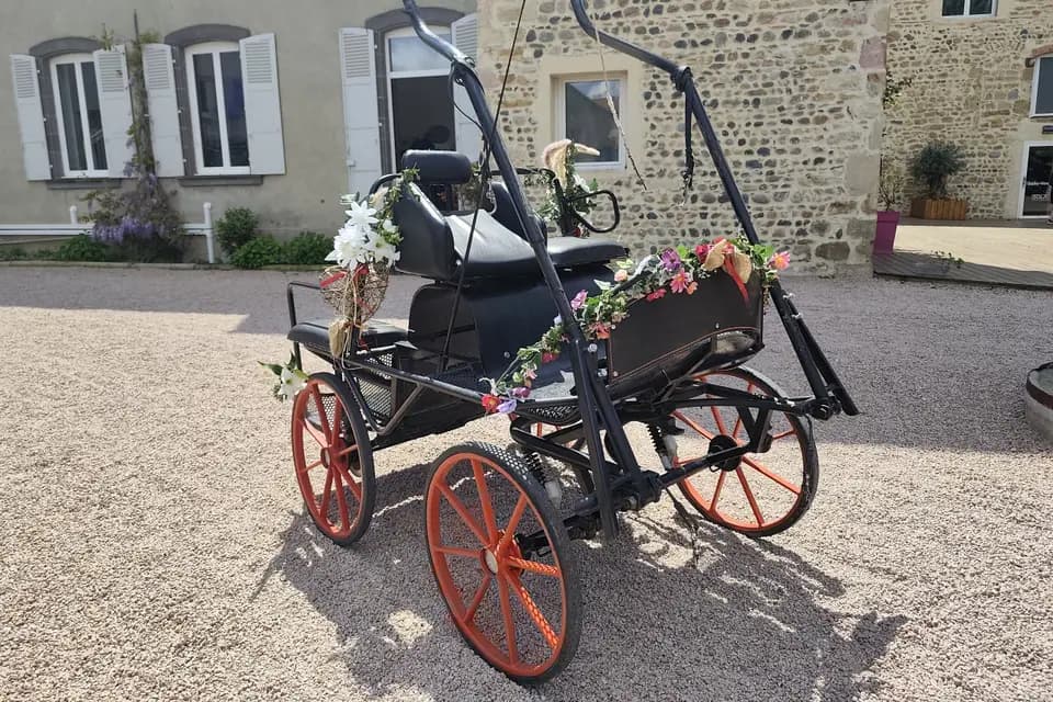 Rêve d'Équilibre — photo 4