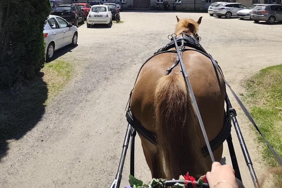 Rêve d'Équilibre — photo 3