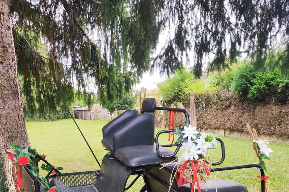 Rêve d'Équilibre — photo 7