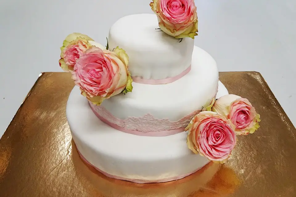 Vincent Besnard - L'Art de la Cabosse — photo 6