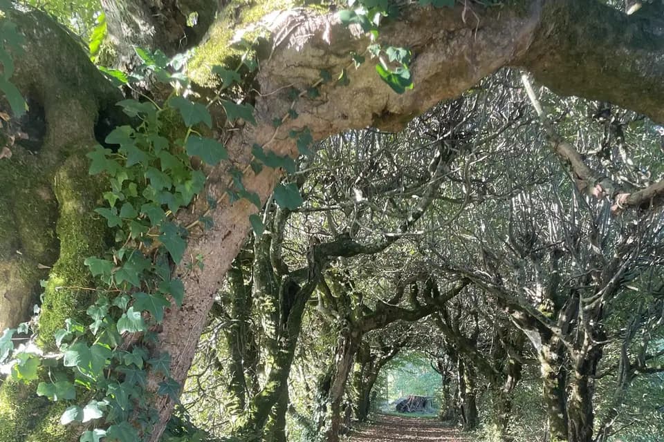 Manoir De Brillac — photo 3