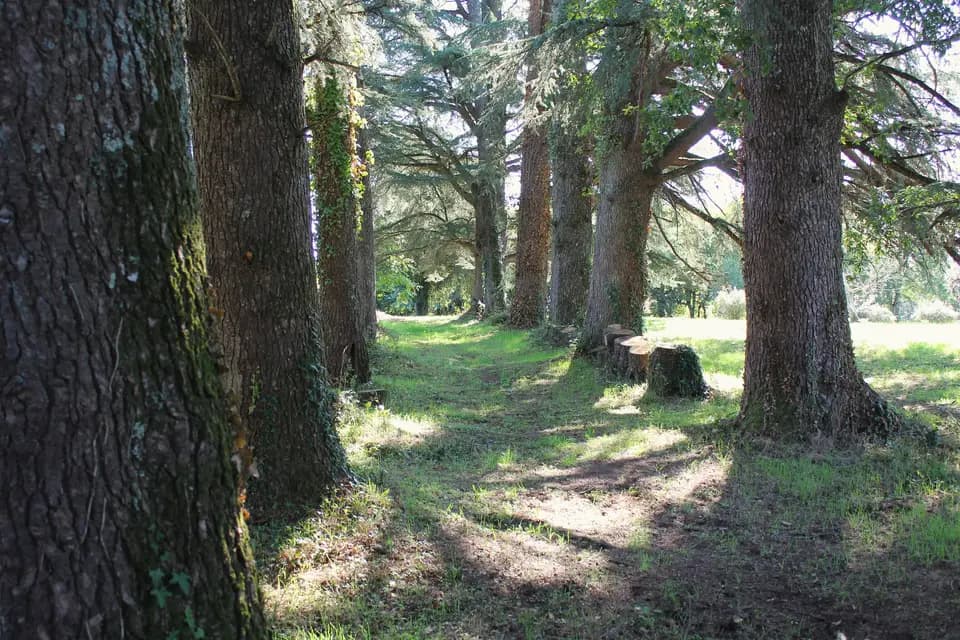 Manoir De Brillac — photo 7