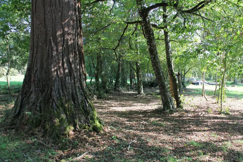 Manoir De Brillac — photo 8