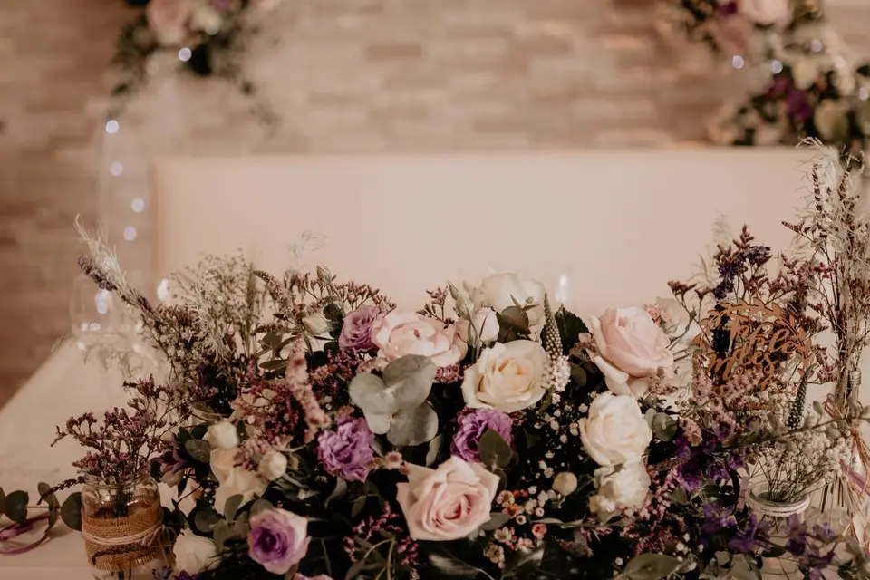 Les Semis — photo 4