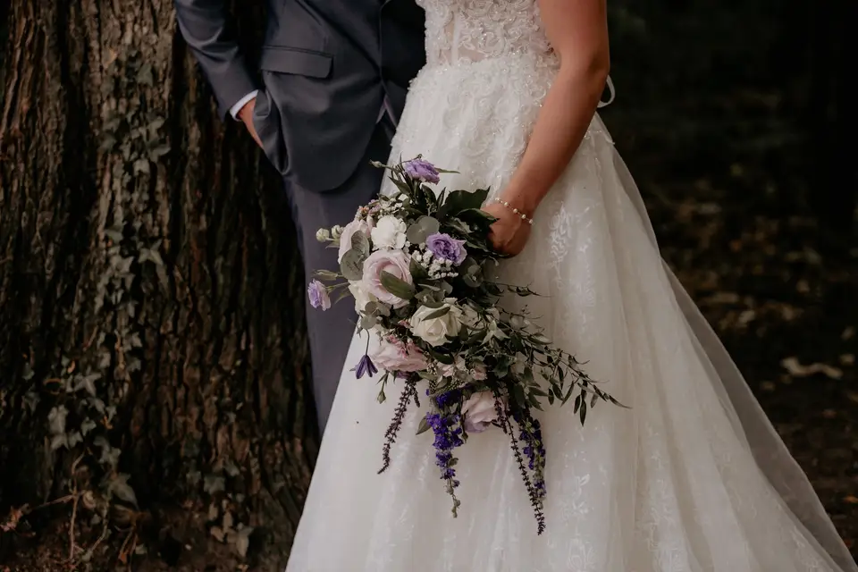 Les Semis — photo 5