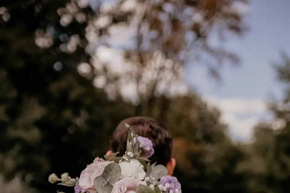 Les Semis — photo 6