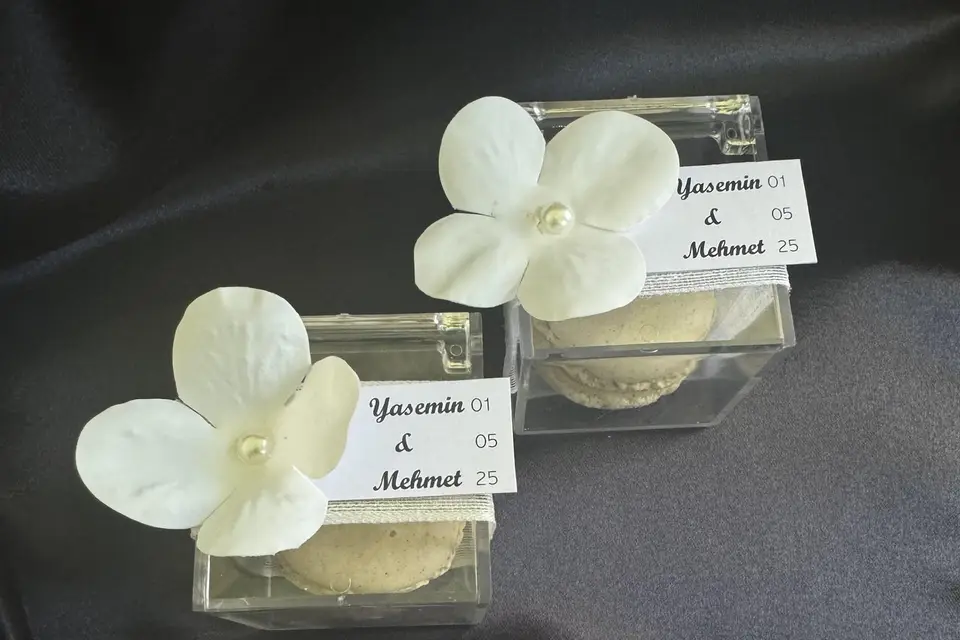 Hedi Hedi — photo 2