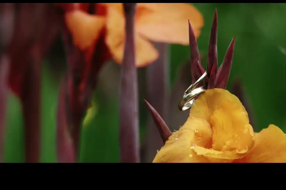 Katufilms — photo 2