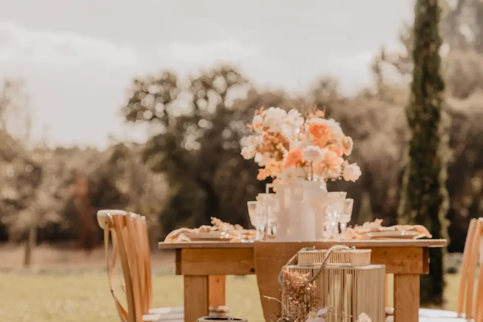 La mariée en Provence — photo 8