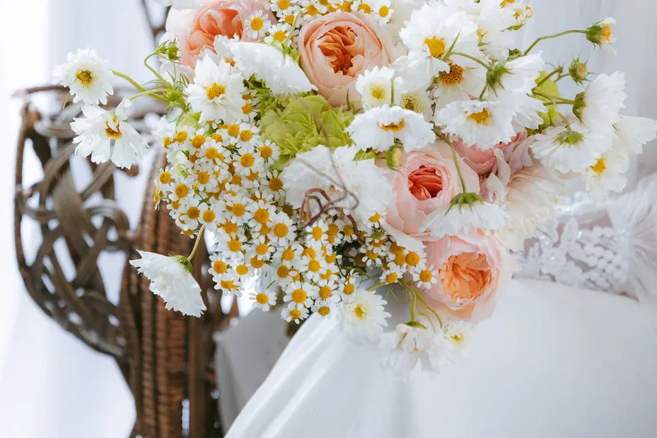 Si tu l'Oses — photo 4