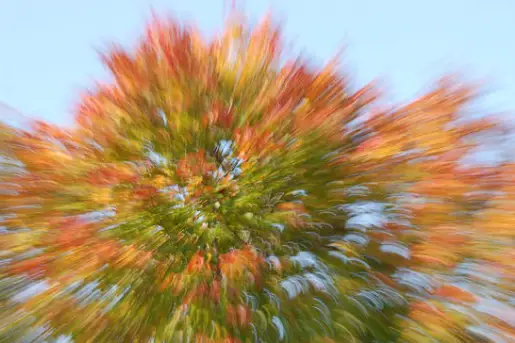 Patrice Baspeyras — photo 1