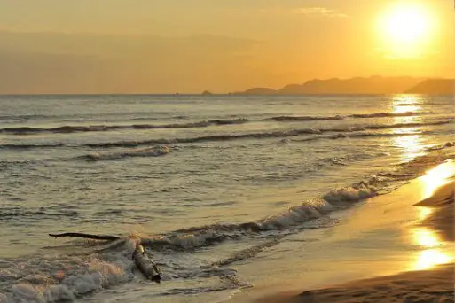 Patrice Baspeyras — photo 3