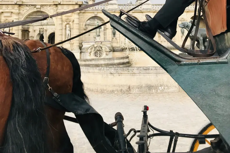 Aux Attelages de Jamacy — photo 3