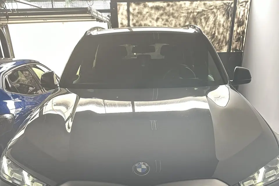 Dinastia — photo 1