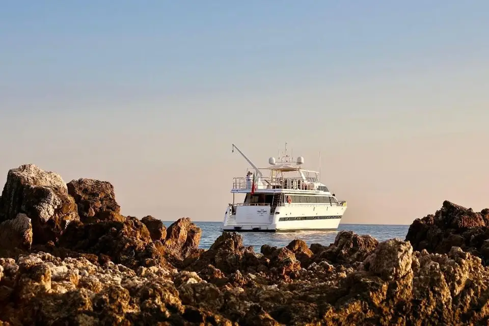 Queen South — photo 3