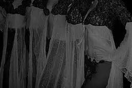 Love And Dance — photo 2