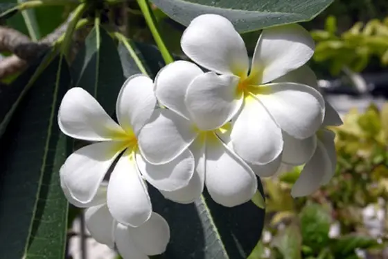 ld communication — photo 5