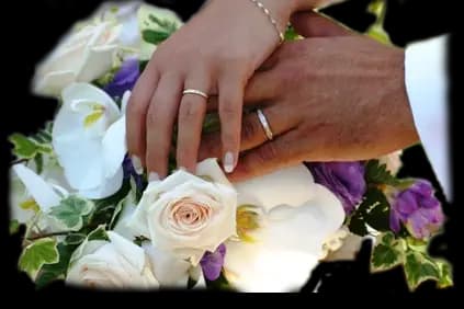 ld communication — photo 6