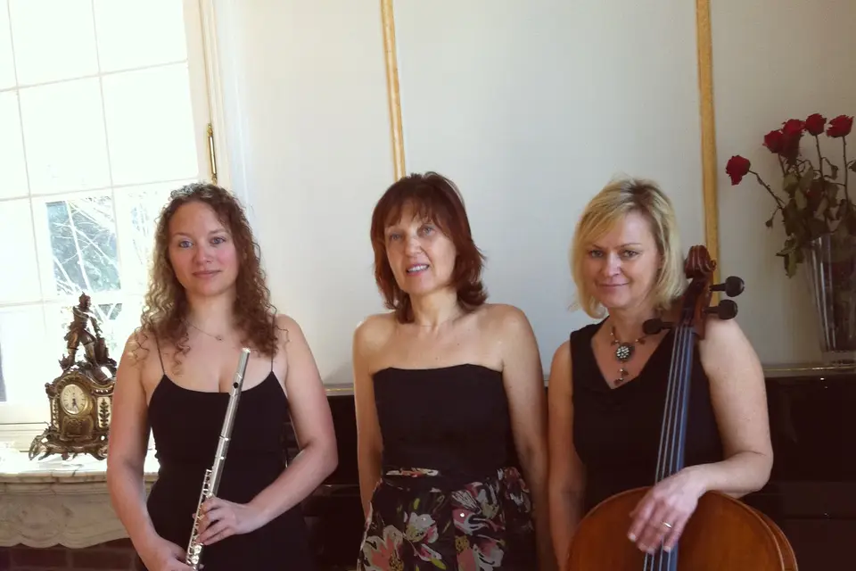 Trio Arpeggione — photo 2