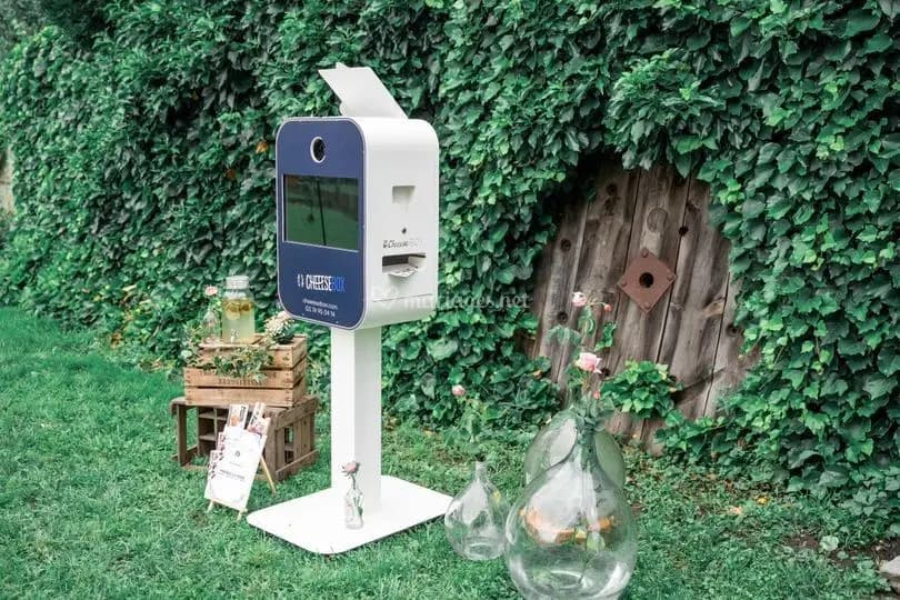 Cheeesebox Var — photo 5