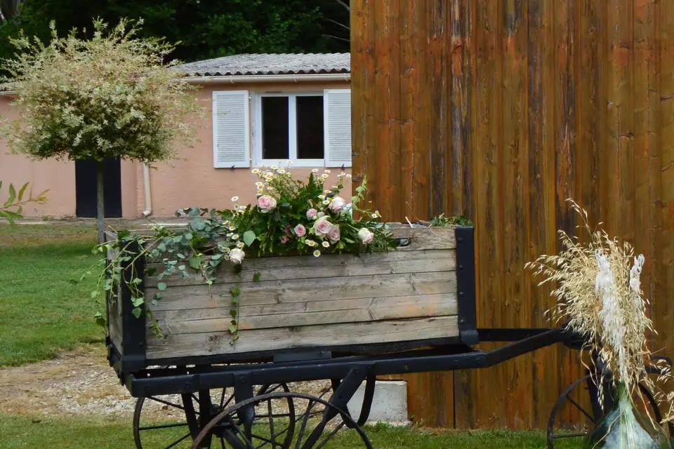 Dream Color — photo 5