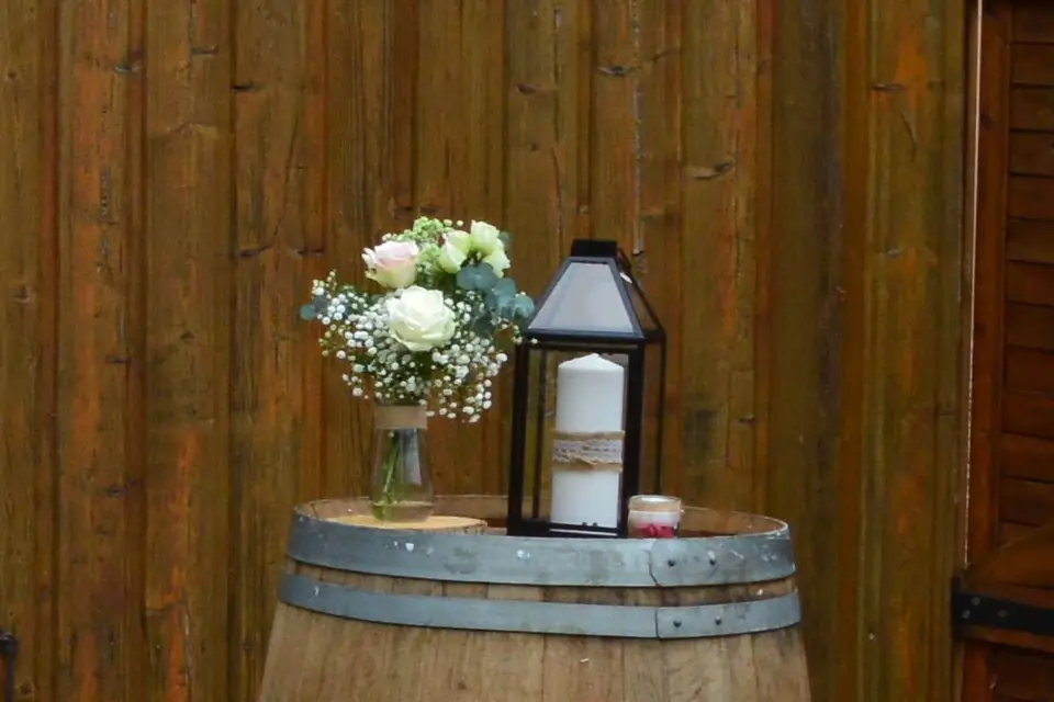 Dream Color — photo 6