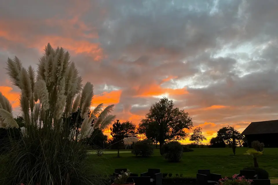 L'Orangerie Hôtel-Restaurant — photo 6