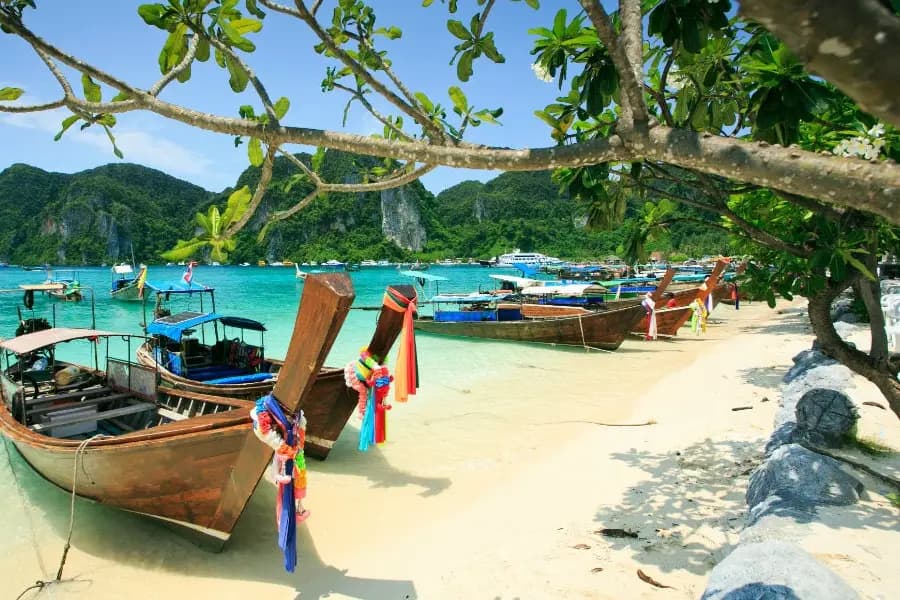 Turquoise Voyages — photo 8