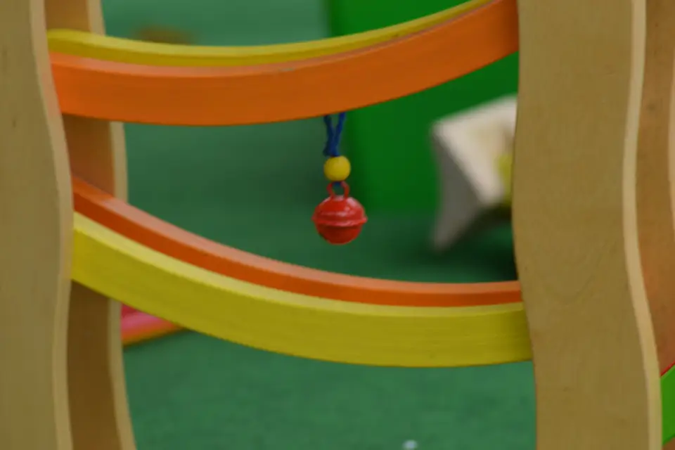 Place Ludique — photo 6