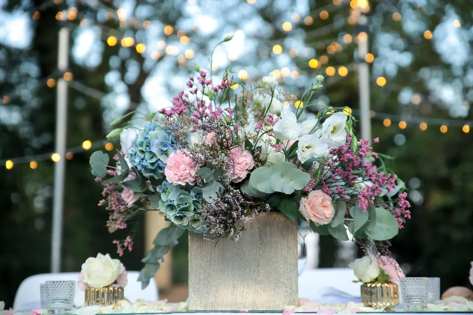 Laura K. Events — photo 1