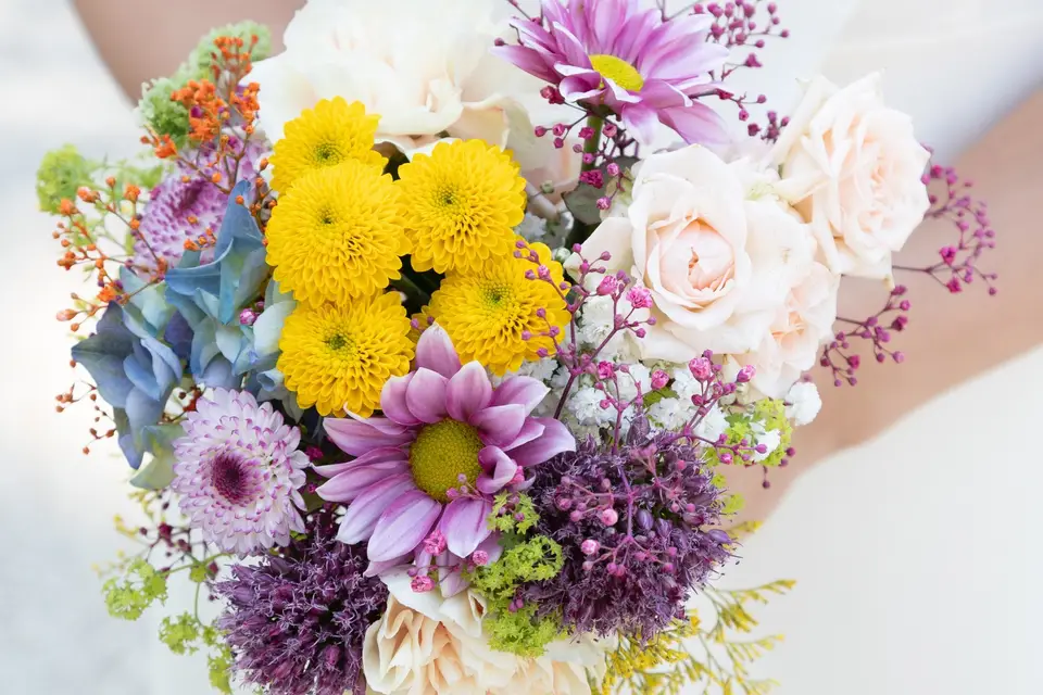 Photographe d'Emotions — photo 2